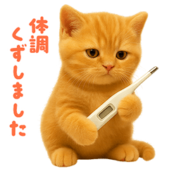 Fluffy Orange Tabby Excuse Stickers