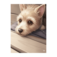 sugar_20250905113417