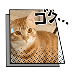 Kelly_20250905135105