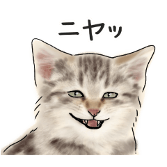 patezou_20250905111415