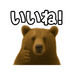 ヒグマのコトバ2