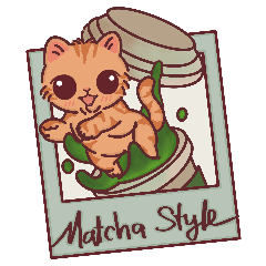 แมวชาเขียวมัทฉะ