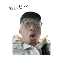 台灣快樂豬