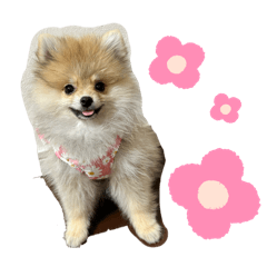 yuka_20250905194509