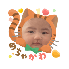 honotannkyouwakoku