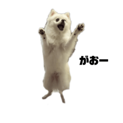 yukipi2