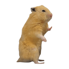 ナゲット君スタンプ第6弾