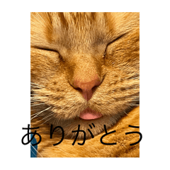 himawari_20250906183025