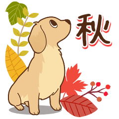 ダックス大好き【秋】クリーム