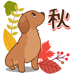 ダックス大好き!【秋】レッド