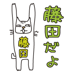 Only for Mr. Fujita Banzai Cat