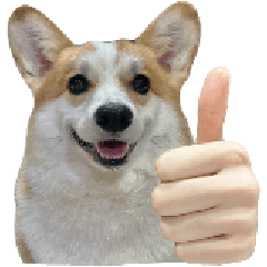 คอกี้อ้วนตุ๊บ!