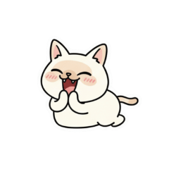 ネコのモカちゃんバリエーションパック