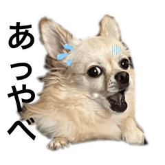 KINAKO_20250906222720