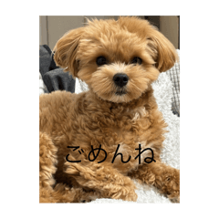 CHIKUWA_20250906235929