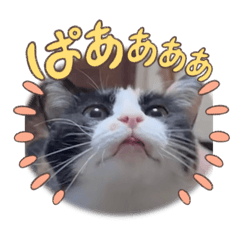 Non_20250907130834