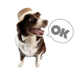 Kurumi_20250907124234