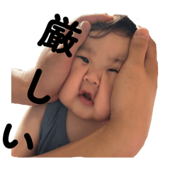 Shio_20250906