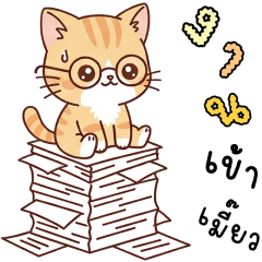 TAMA WORKING CAT 100%