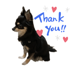 Mario_20250906173111