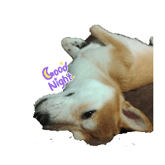 Matsu_20250906233656