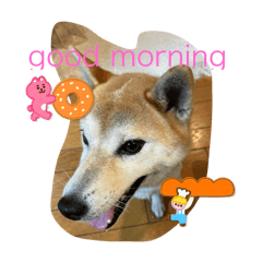 Yurina_20250907082513