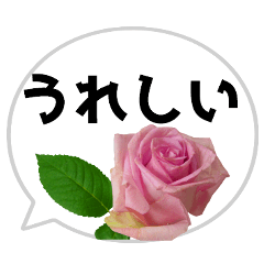*Flower* Rose&Speech bubble 01