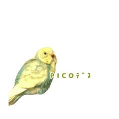 Sarah_20250907014850