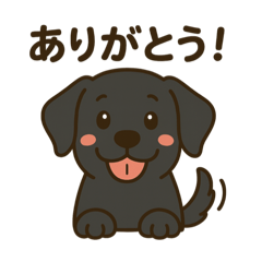 SAKURA_20250907103115