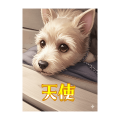 sugar_20250907103343