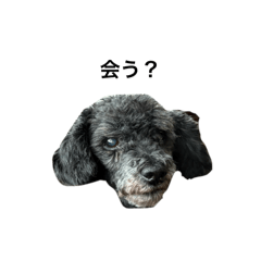m_20250907102319