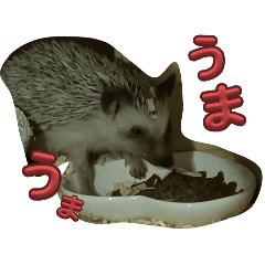 nanami_20250907172738