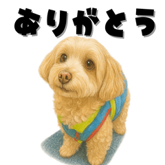 Gentle Daily Dog Stickers