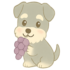 Fluffy Schnauzer Tasty Autumn (No Text)