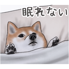 patezou_20250907094241