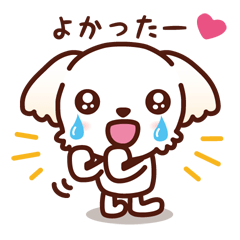 マルチーズ_ずーっと使えるスタンプ