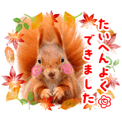 fou-qua-sse8_20250907120648