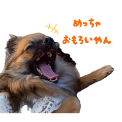 sachi_20250907120923