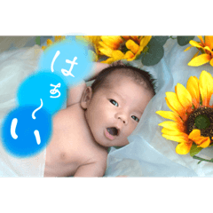 chihiro_20250907134025