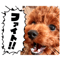 yukinko_20250907184239