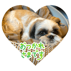 tuyopon_20250907184716