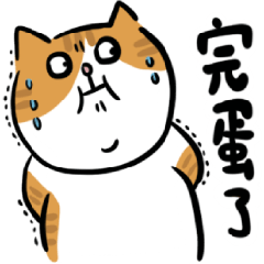 Orange Cat Fatty2 - jibber-jabber