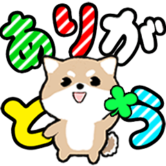 POPUP big letter 2025-Mameshiba[Revised]