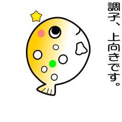 nobobi Anime Pufferfish