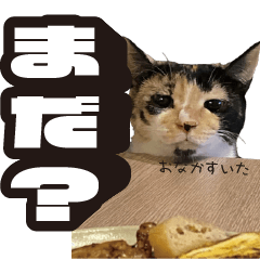 POCO-CHI