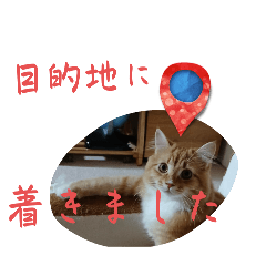 Kaho_20250907154527