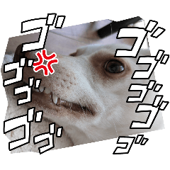 haruka_20250907171406