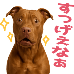 Pee-chan the Pit Bull_01