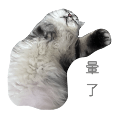 酸酸醬醬酸辣醬