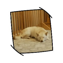 meimei_20250907135409